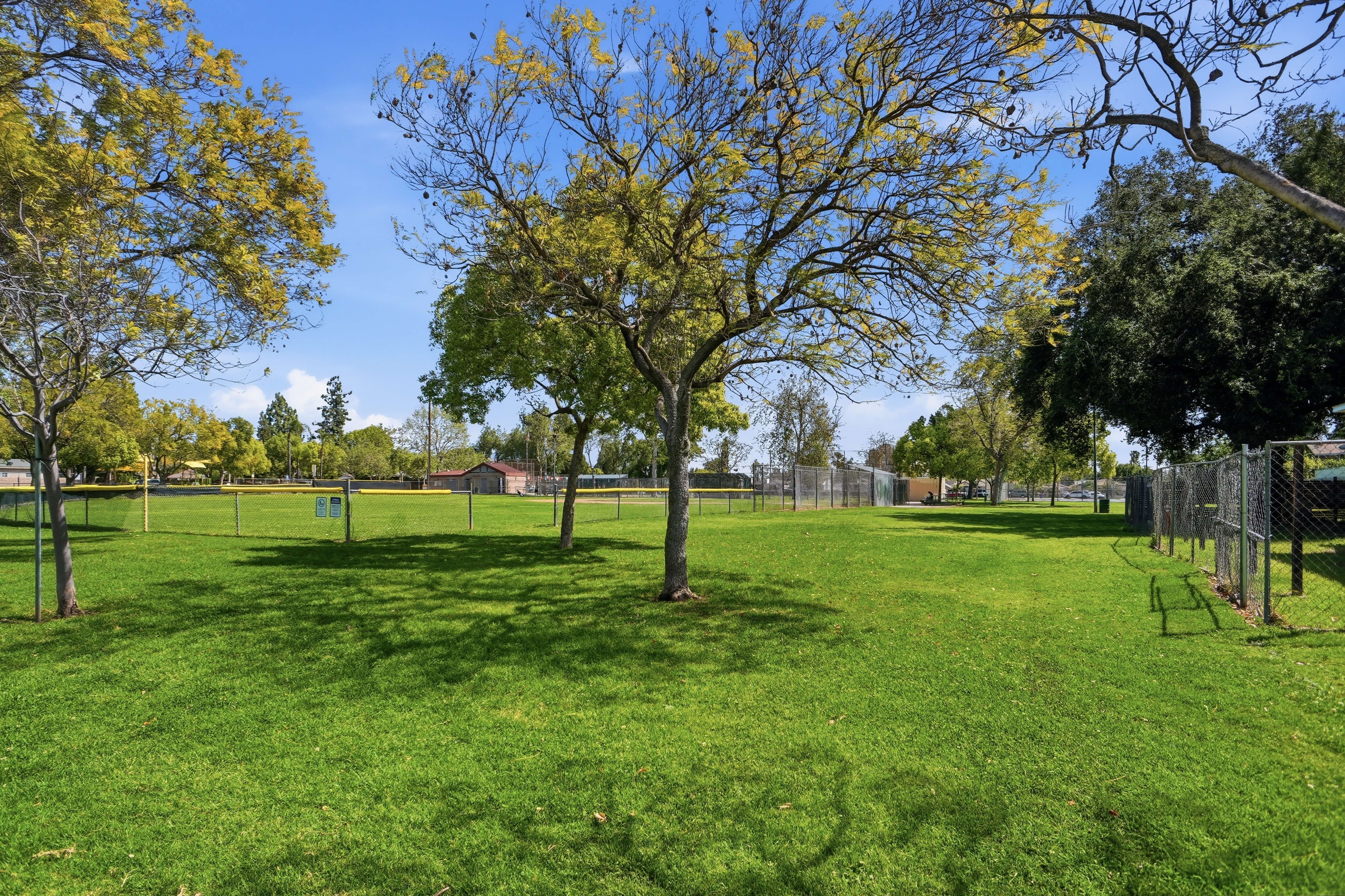Nearby neighborhood park